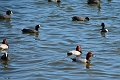 13 04 14_2945_edited-1